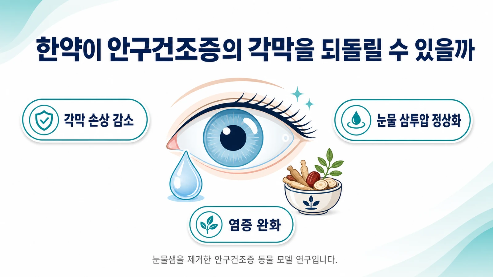 안구건조증의 각막 손상과 눈물 삼투압을 되돌린 한약의 효과 | 연수구 안구건조증 치료 한의원