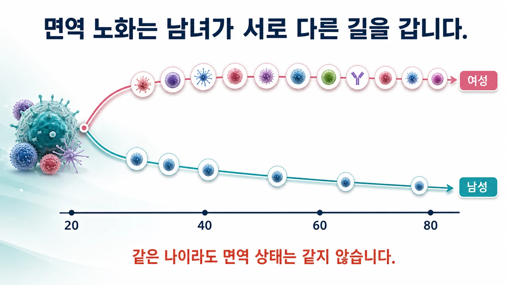 자가면역질환, 왜 여성 환자가 훨씬 많은지 궁금할 때