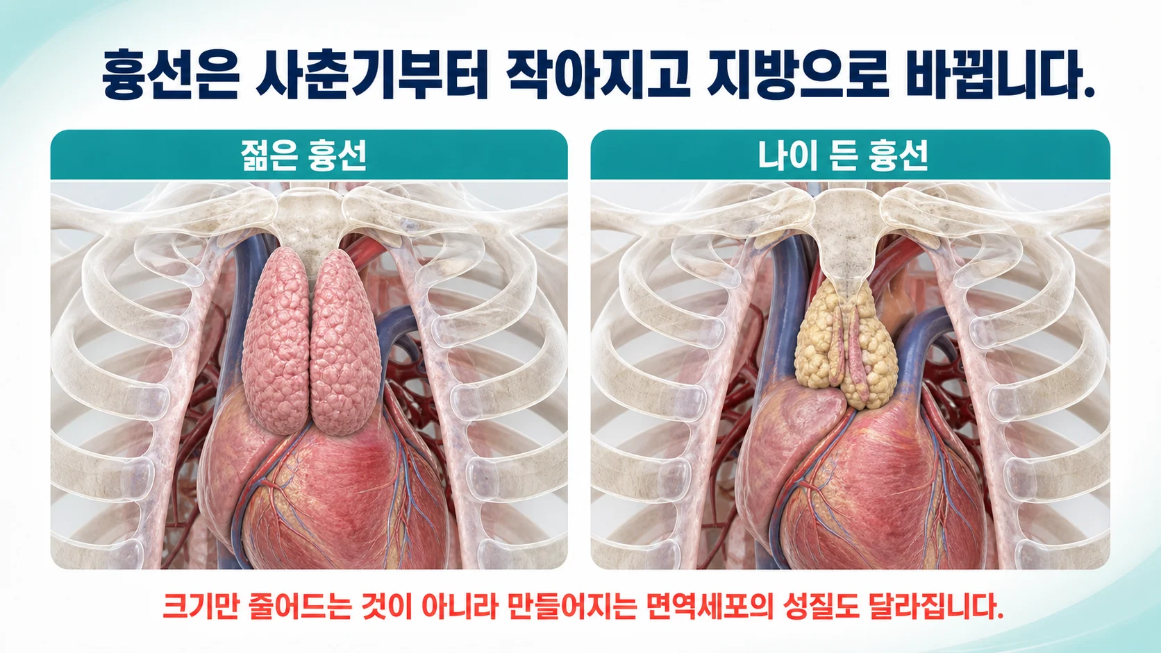 자가면역질환, 왜 하필 이 나이에 시작됐을까 싶을 때