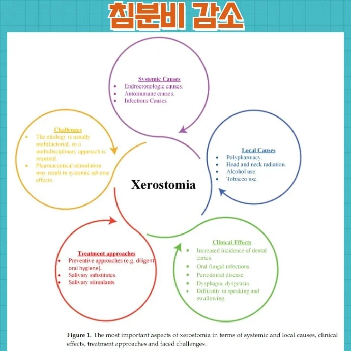 살라겐 작용기전