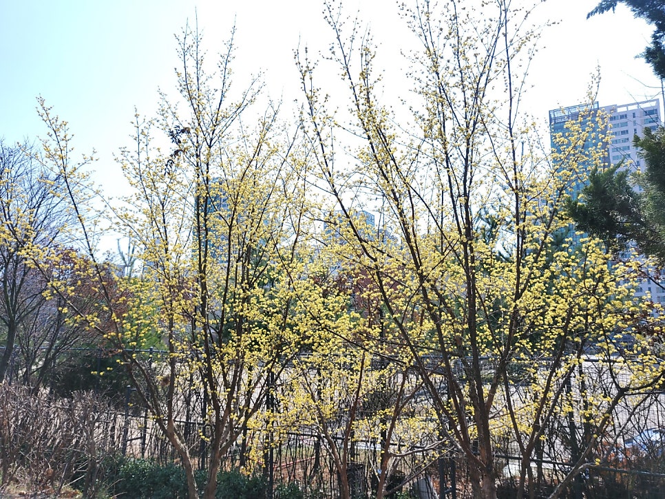 이미지 5