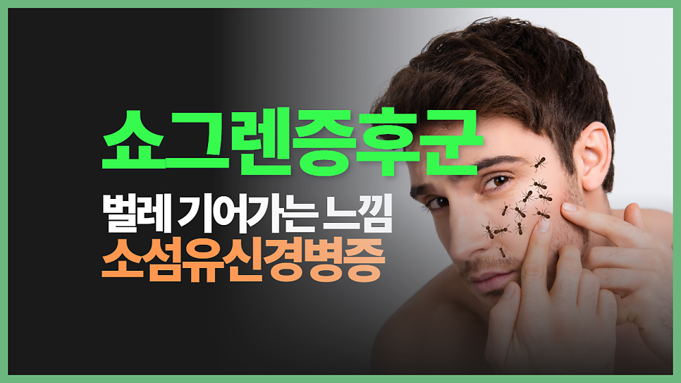 이미지 1