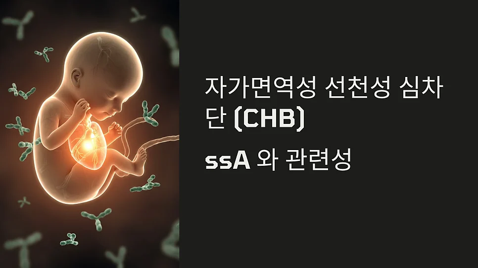 선천성 심차단CHB과 anti #1