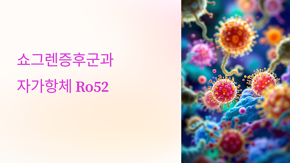 이미지 1