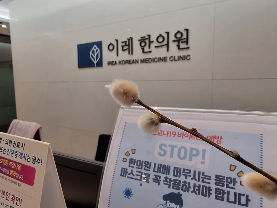 쇼그렌증후군 환자의 근력운동 효과 #2