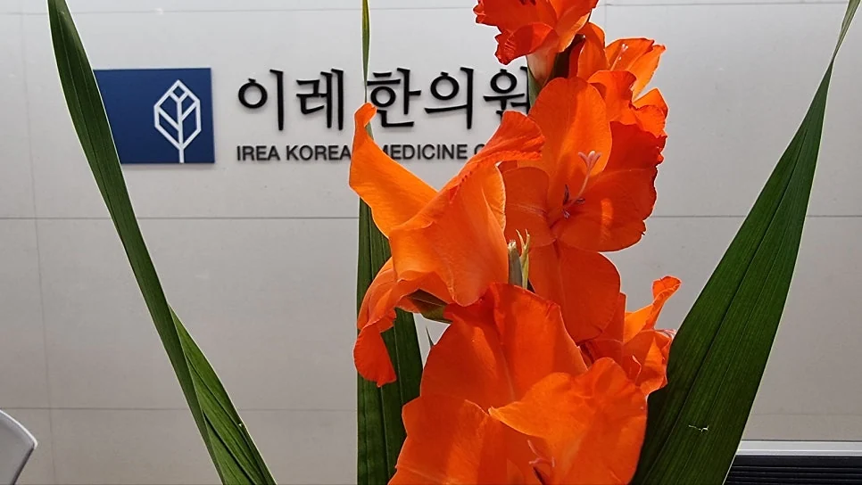 쇼그렌증후군 기본 정보 #12