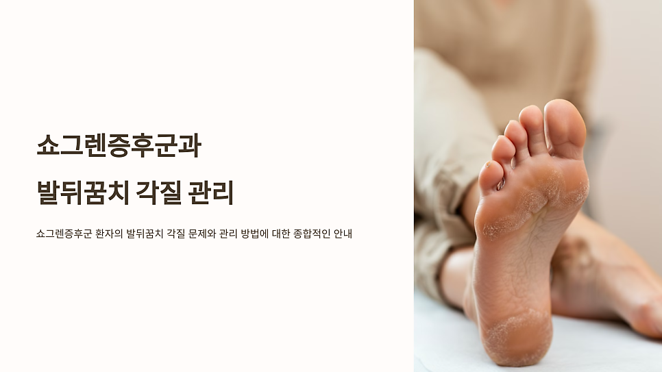 이미지 1