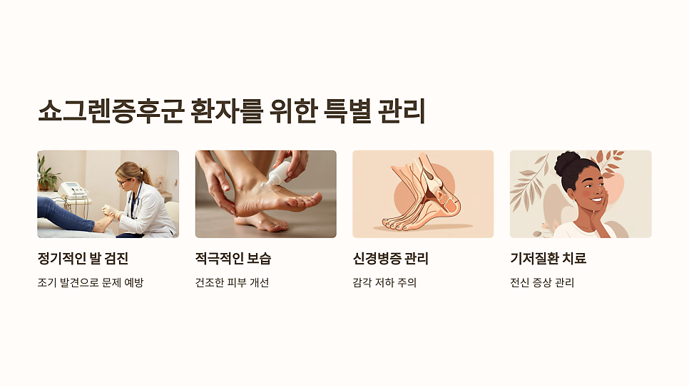 이미지 5
