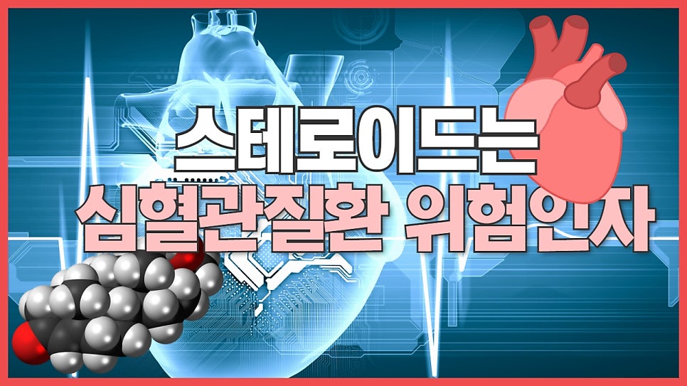 이미지 6