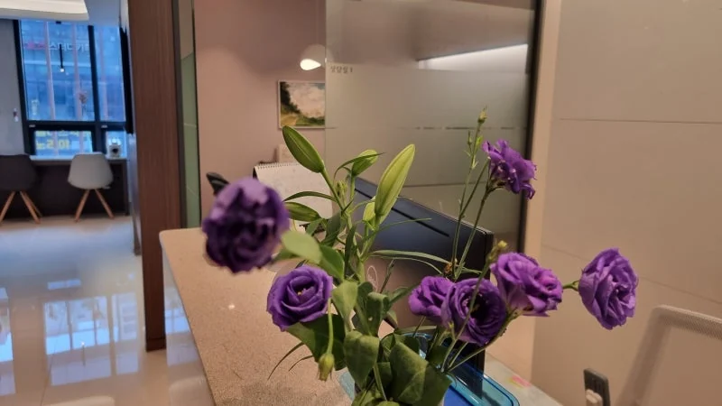 편두통 관리