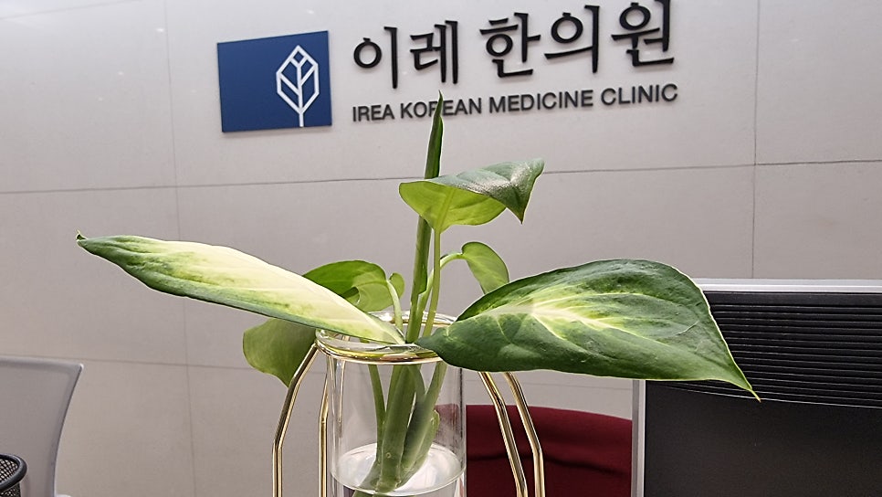 이미지 3
