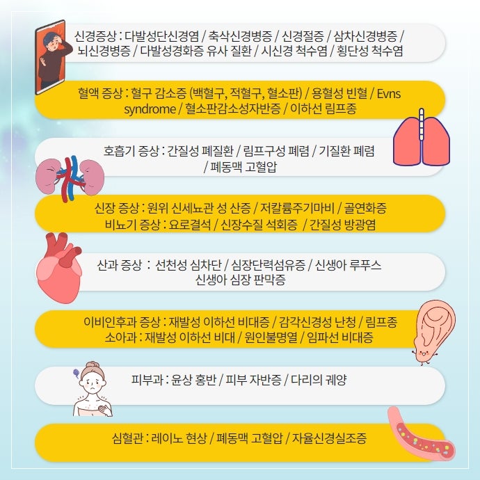 이미지 5