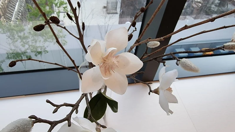 안구건조증 검사