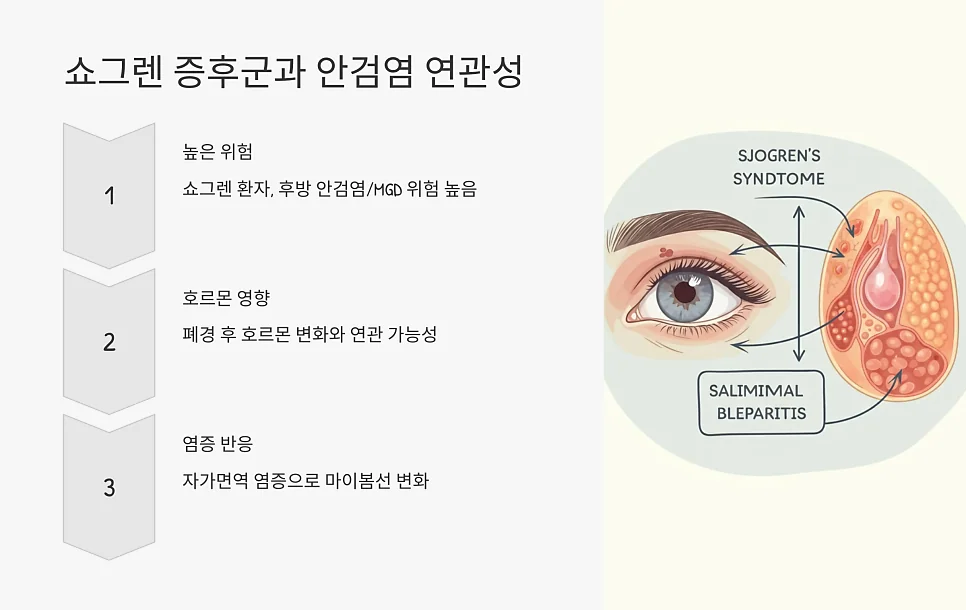 안검염 증상과 원인 #9