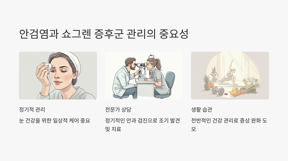 이미지 11