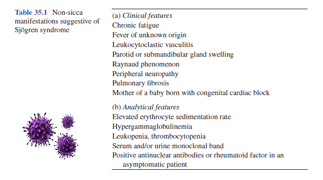 이미지 5