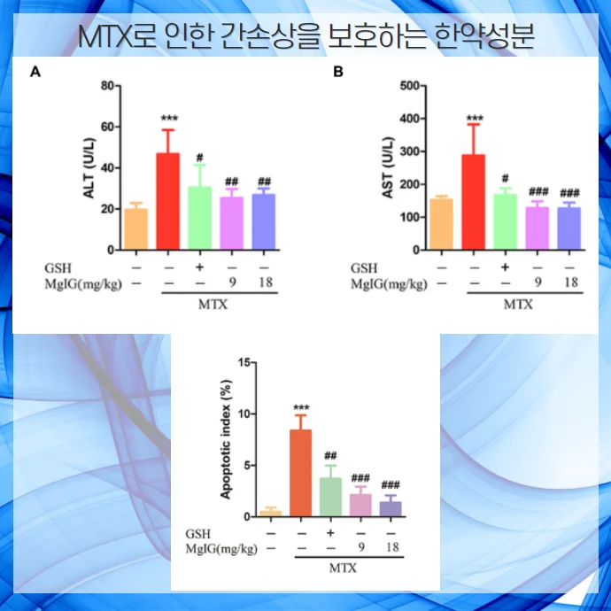 MTX메토트렉세이트 간손상 부작용, 한약 병행으로 #5