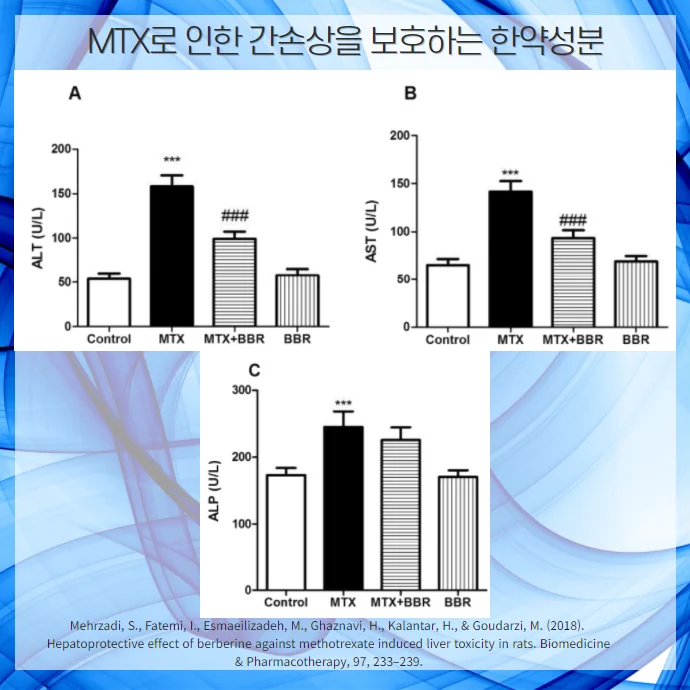 MTX메토트렉세이트 간손상 부작용, 한약 병행으로 #6