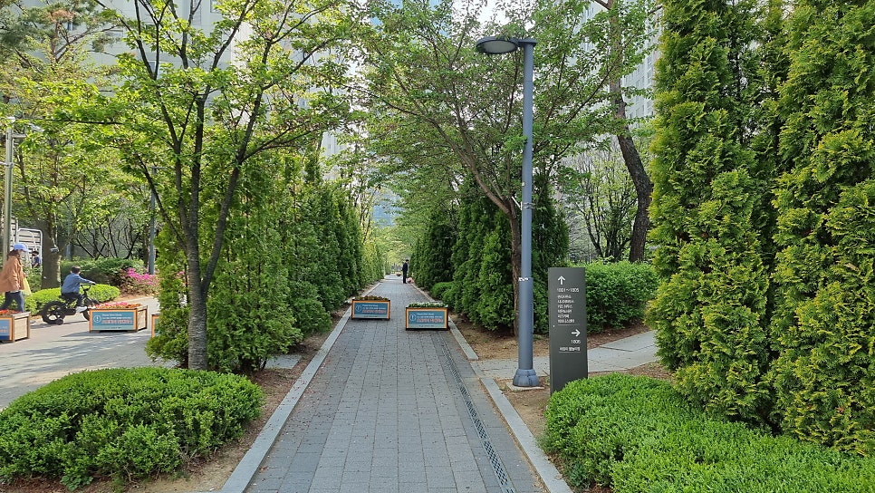 이미지 8