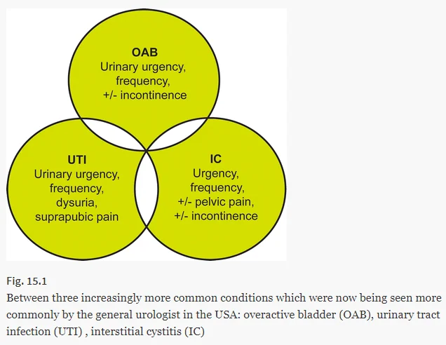 간질성 방광염Interstitial Cystitis #2