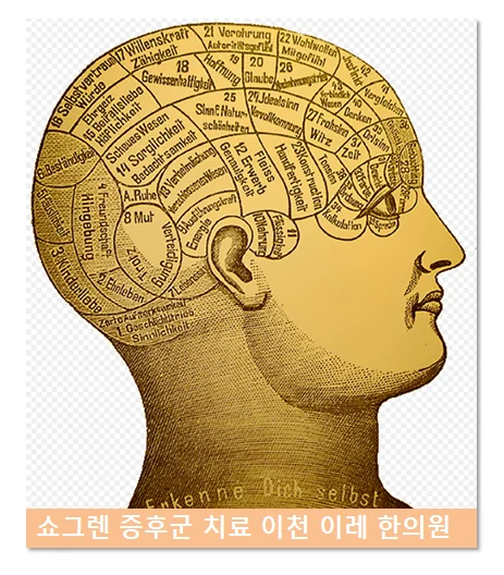 쇼그렌증후군 인지기능 이상 #3