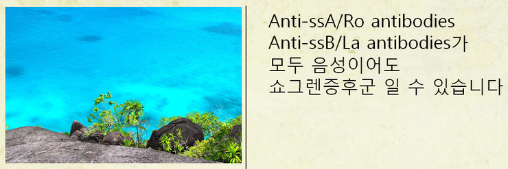 이미지 5