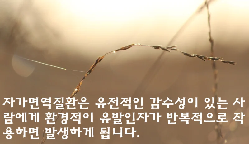 쇼그렌증후군 발생 원인은 어느 정도 알려져 있습니다. - img_03
