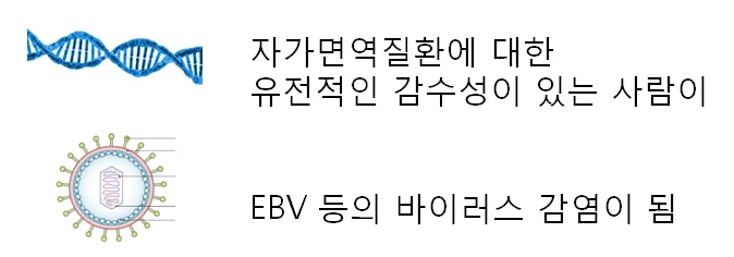 쇼그렌증후군 바이러스 감염 이후에 발생할 수 있습니다 - img_03