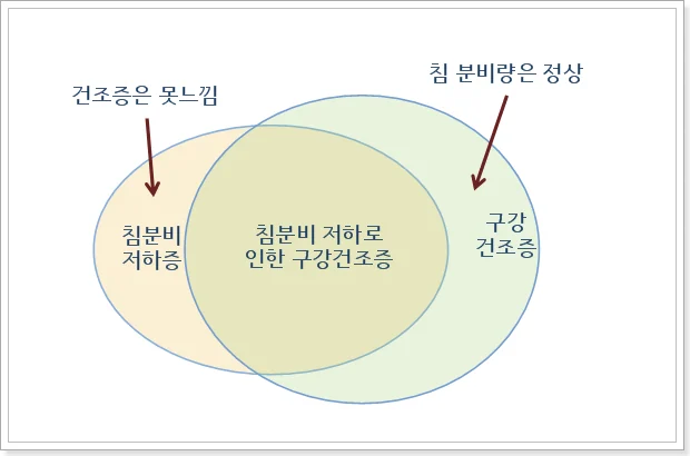 쇼그렌증후군 이외에 침 분비량이 적어지는 경우