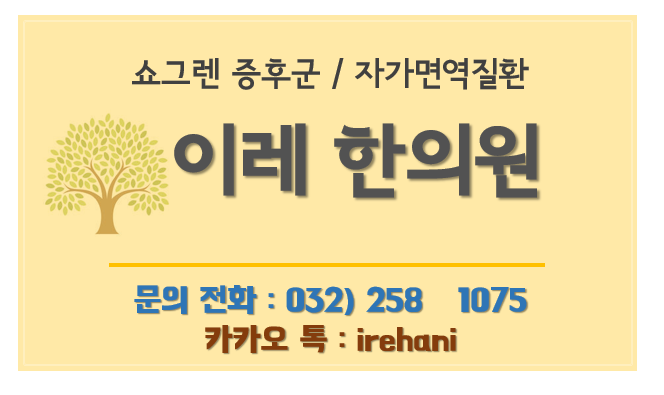 이미지 2