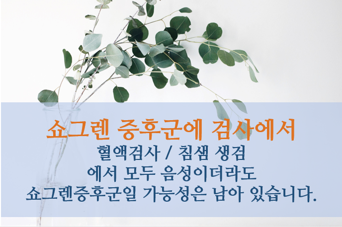이미지 5