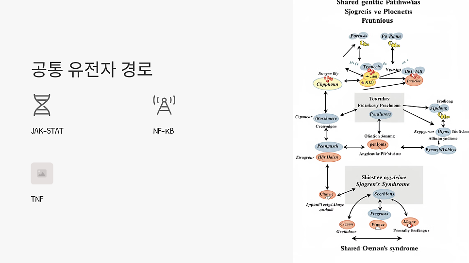 이미지 8