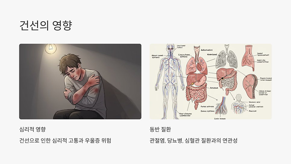이미지 11