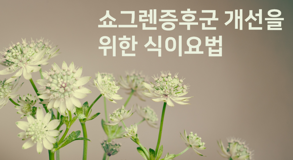 이미지 2