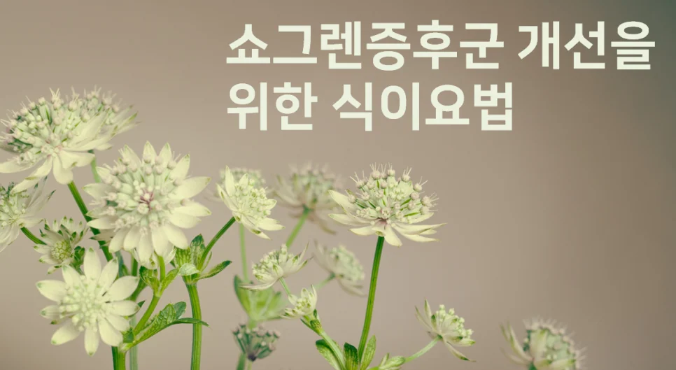 쇼그렌증후군 식이요법 #2