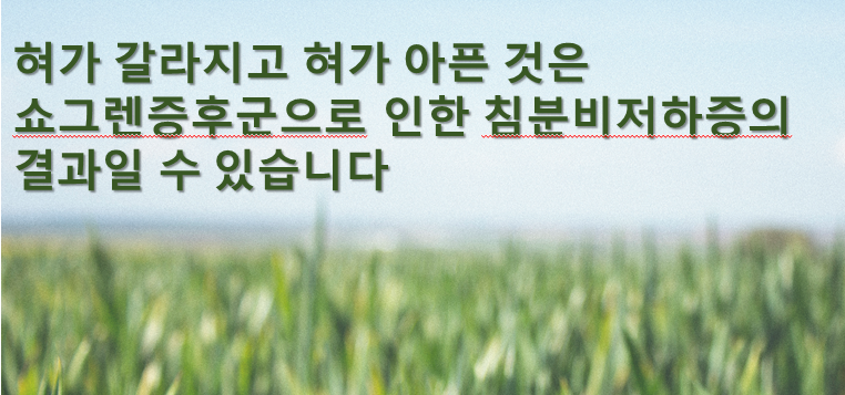 이미지 2