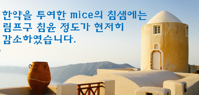 관련 이미지