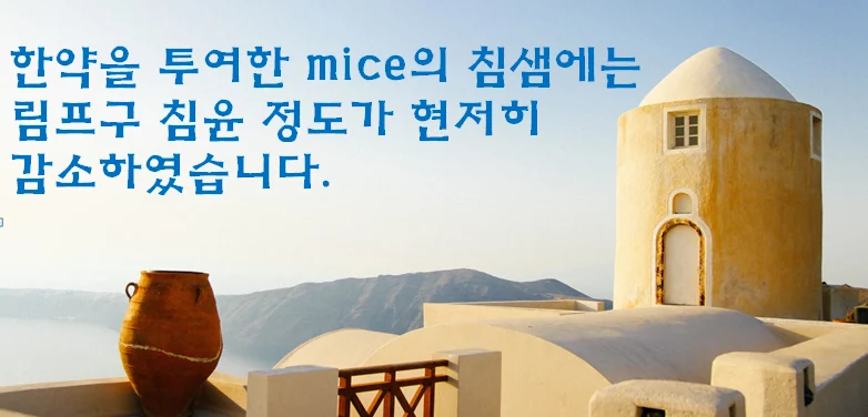 관련 이미지