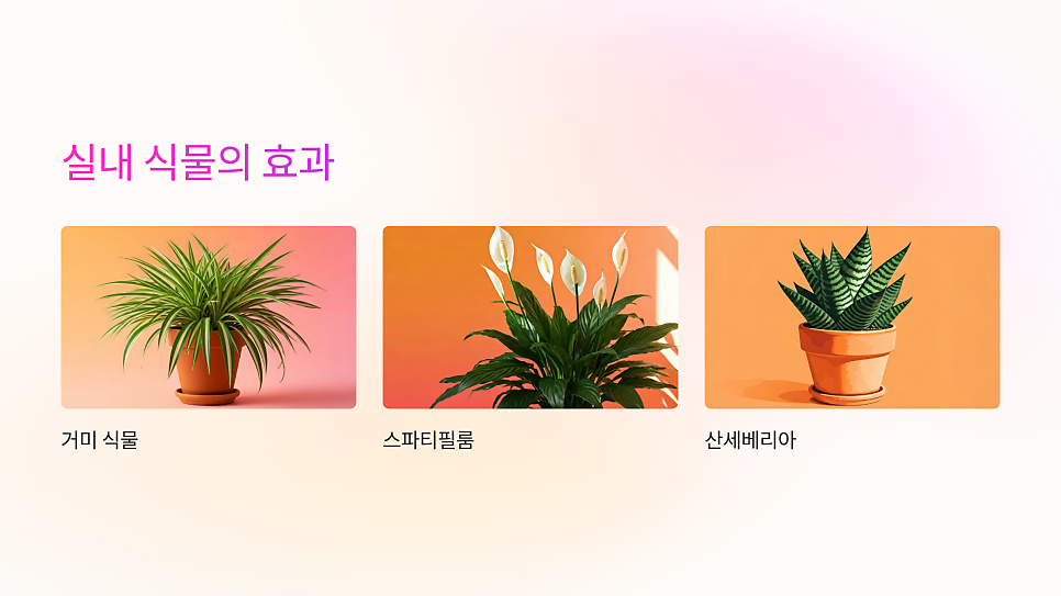 이미지 11
