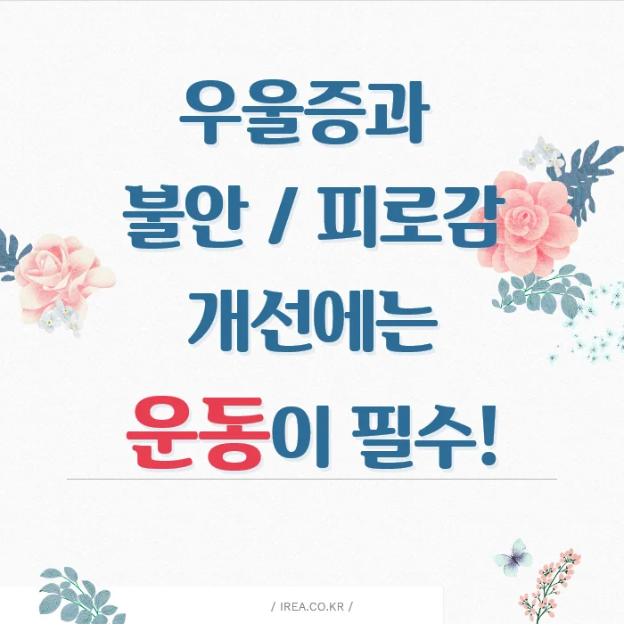 관련 이미지