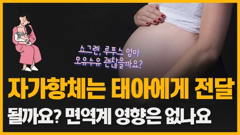자가면역질환 산모의 자가항체가 태아에 미치는 영향과 모유수유 안전성