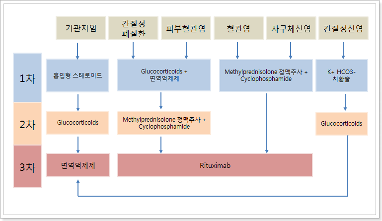 이미지 5