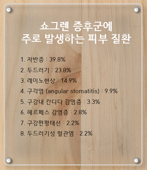 이미지 2