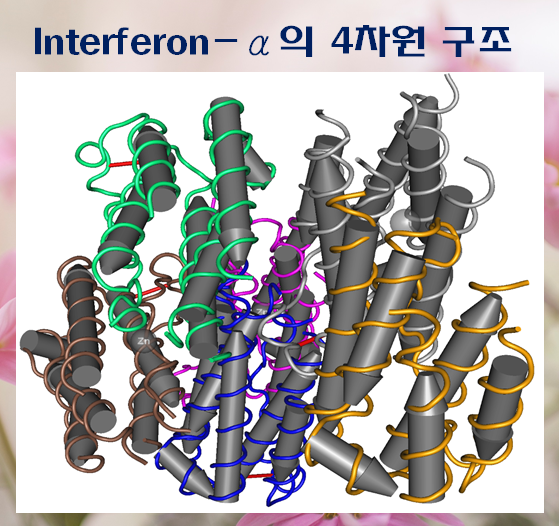 이미지 1