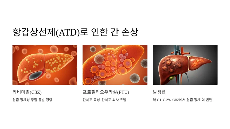 그레이브스병 간 수치 상승 원인 요약정리 그레이브스씨병 - img 04