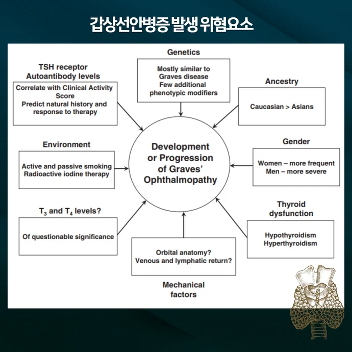 갑상선 안병증 (그레이브스병 ) 안구돌출 발생 위험요소와 악화 요소는 - img_05