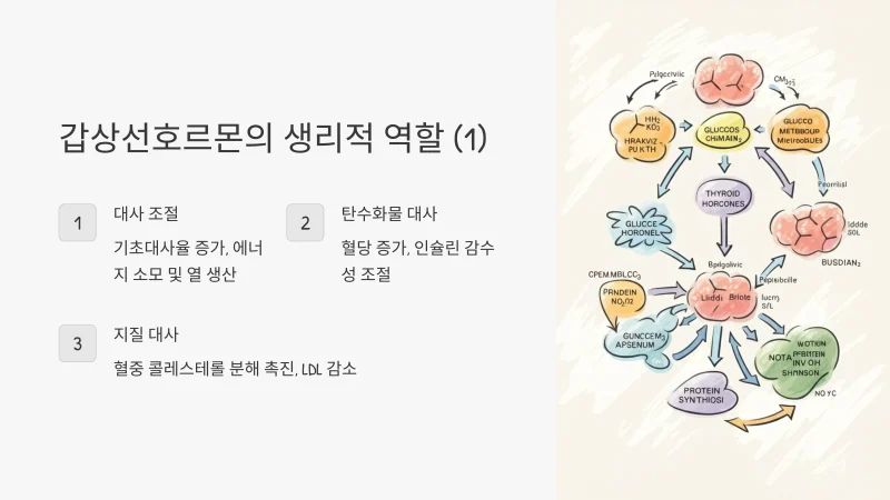 관련 이미지