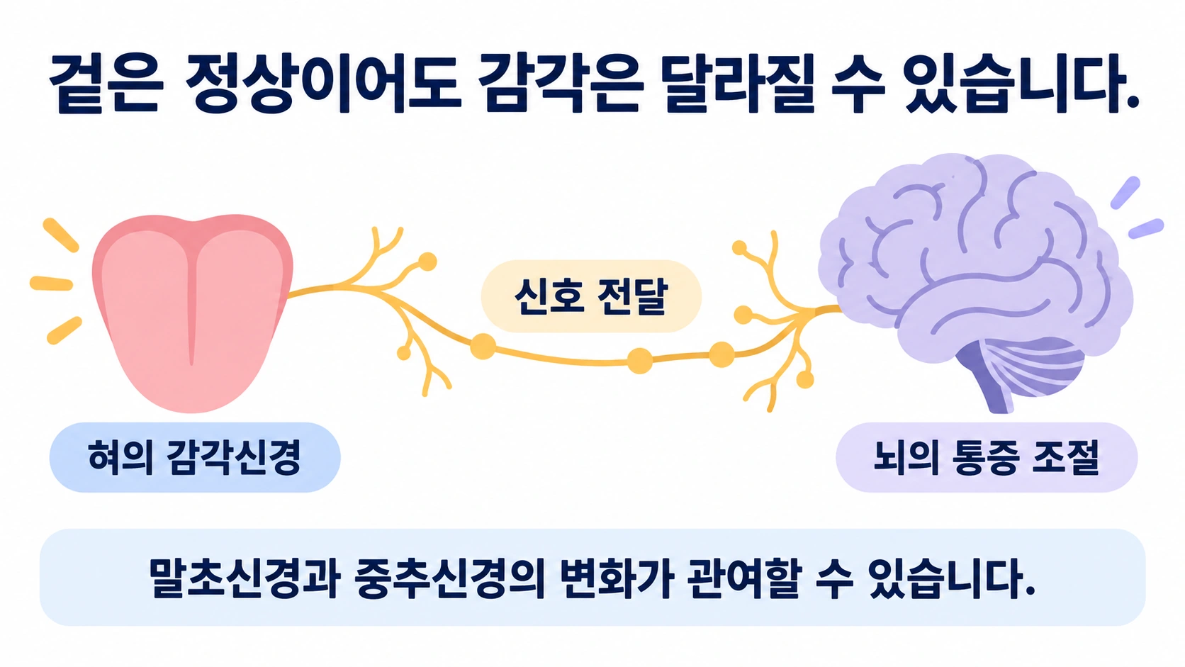혀의 감각신경과 신호 전달 및 뇌의 통증 조절이 증상에 관여할 수 있음을 나타낸 개념도