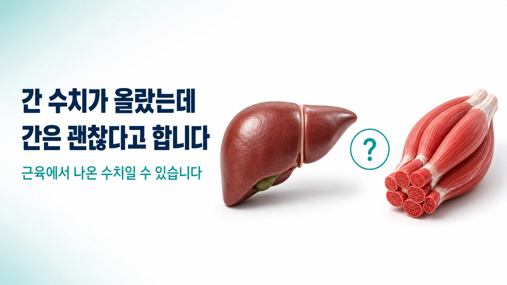 그레이브스병, 간 수치가 올랐다는데 간은 괜찮다고 할 때