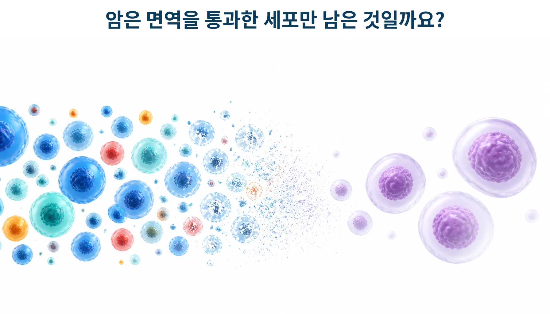 면역감시와 면역편집: 암세포의 제거·균형·회피를 이해하기